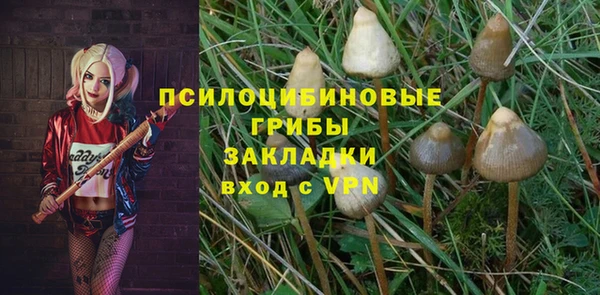 apvp Богородск