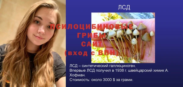 apvp Богородск
