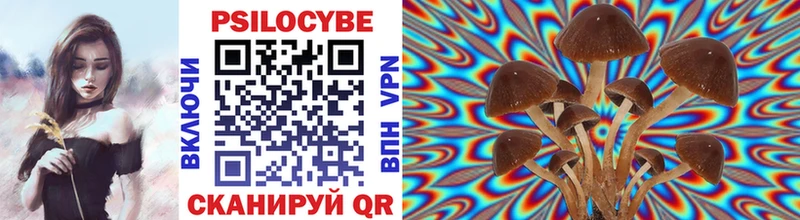 где найти   KRAKEN ONION  Псилоцибиновые грибы прущие грибы  Светлый 